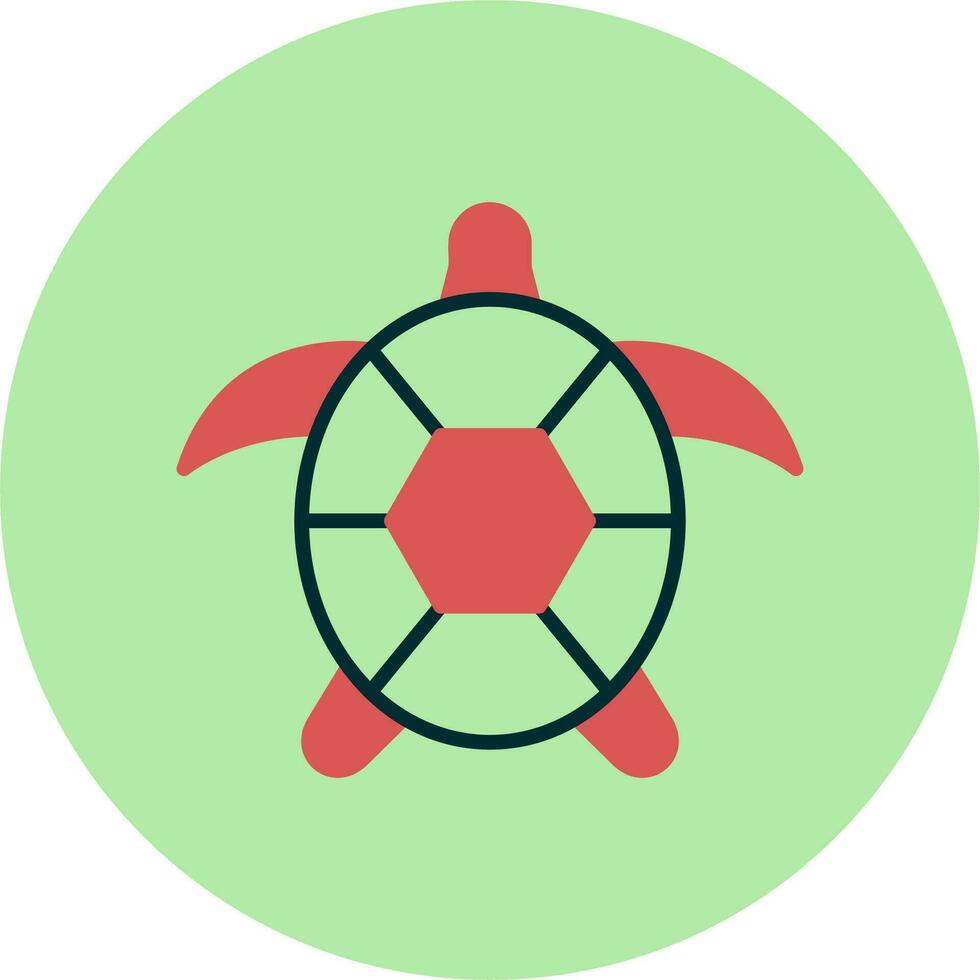 Turtle Vector Icon