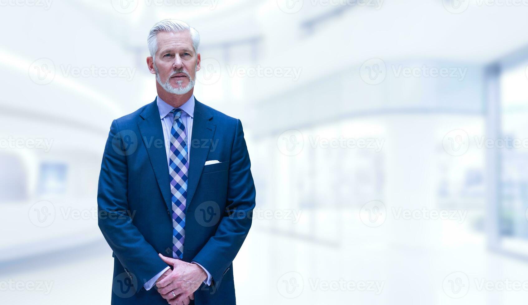 Senior businessman in his office photo