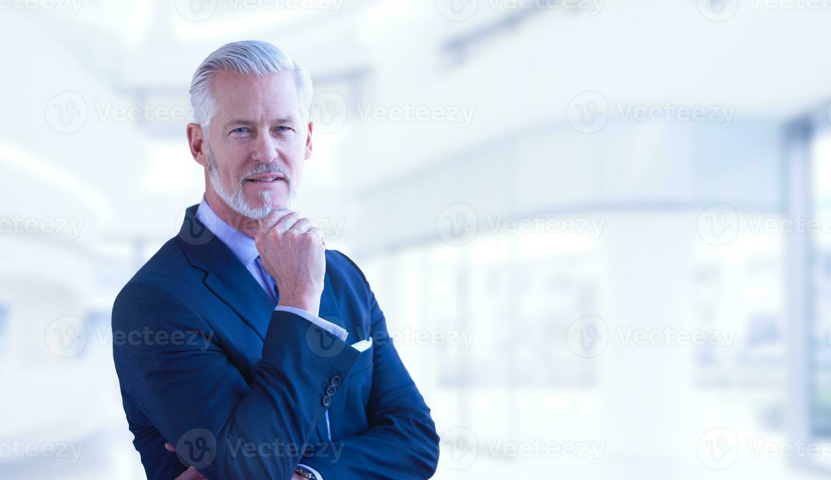 Senior businessman in his office photo
