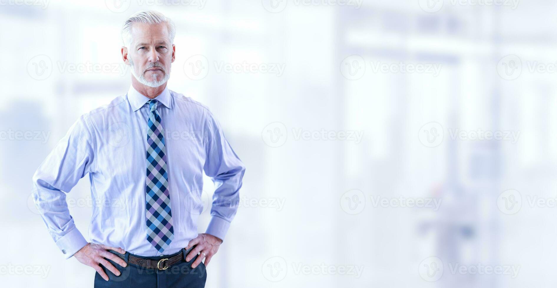 Senior businessman in his office photo
