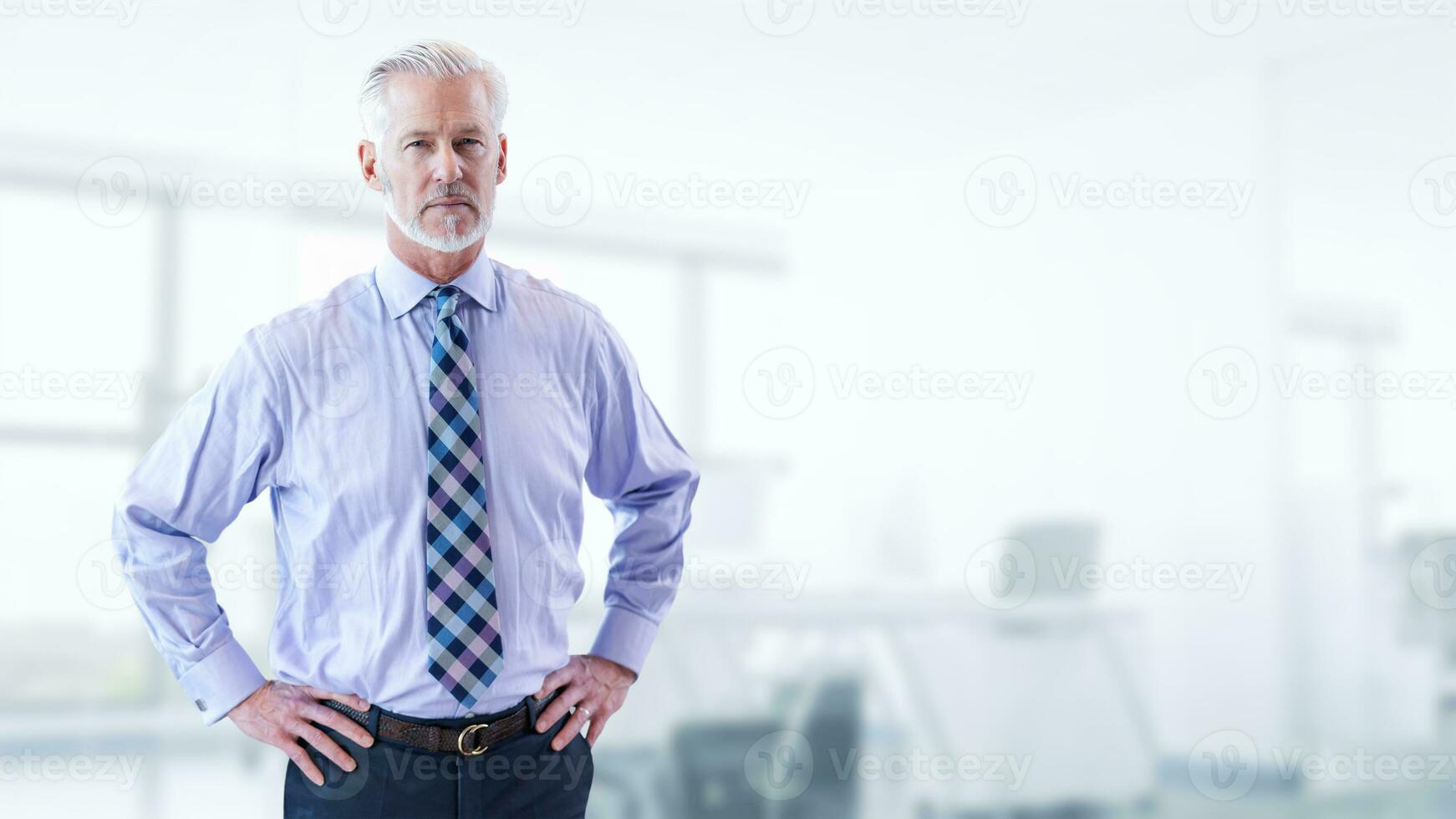 Portrait of senior businessman photo