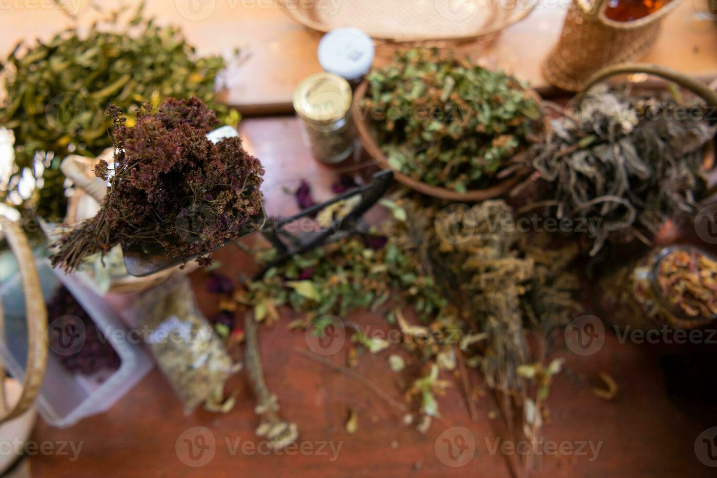herbalist workshop view photo