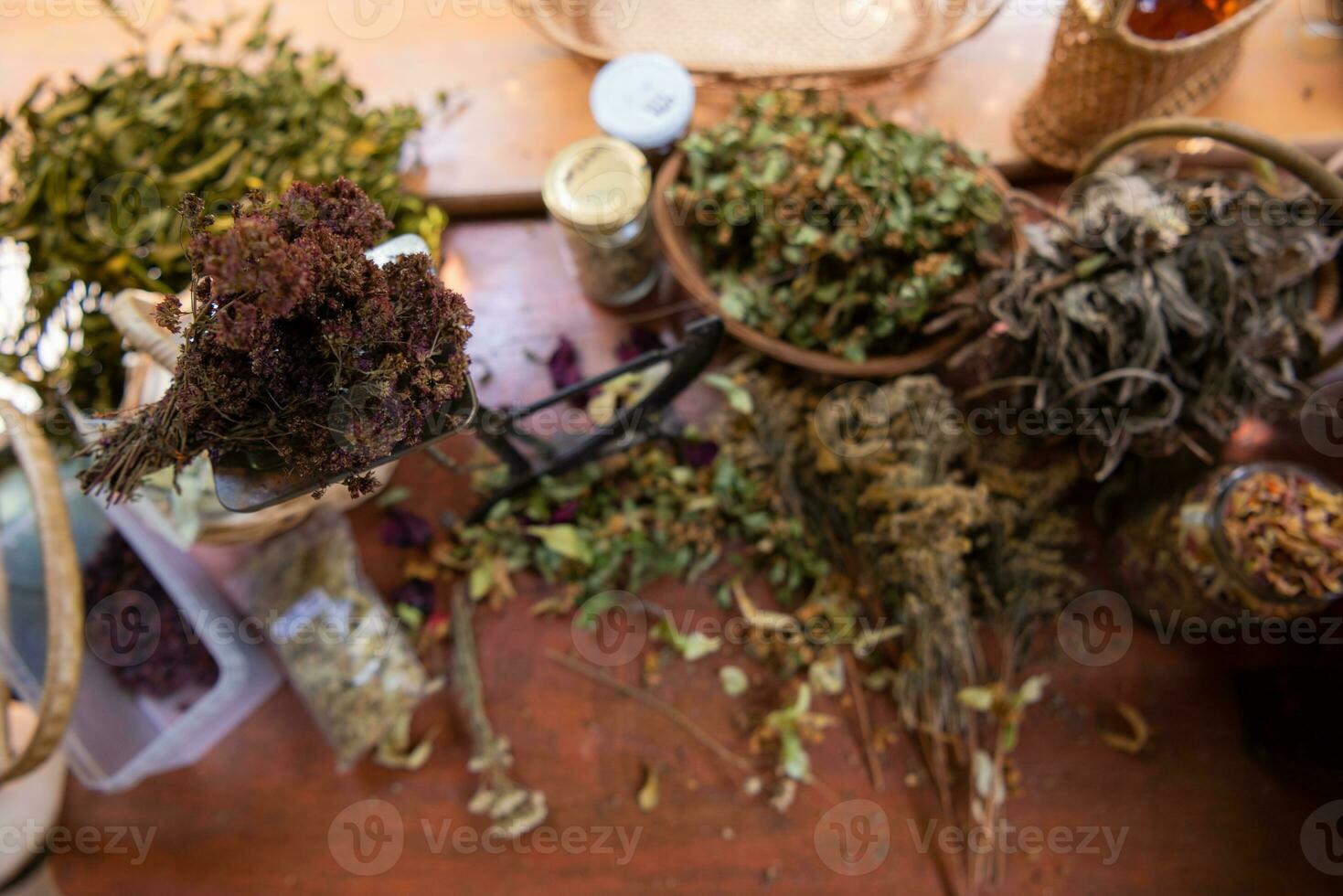 herbalist workshop view photo