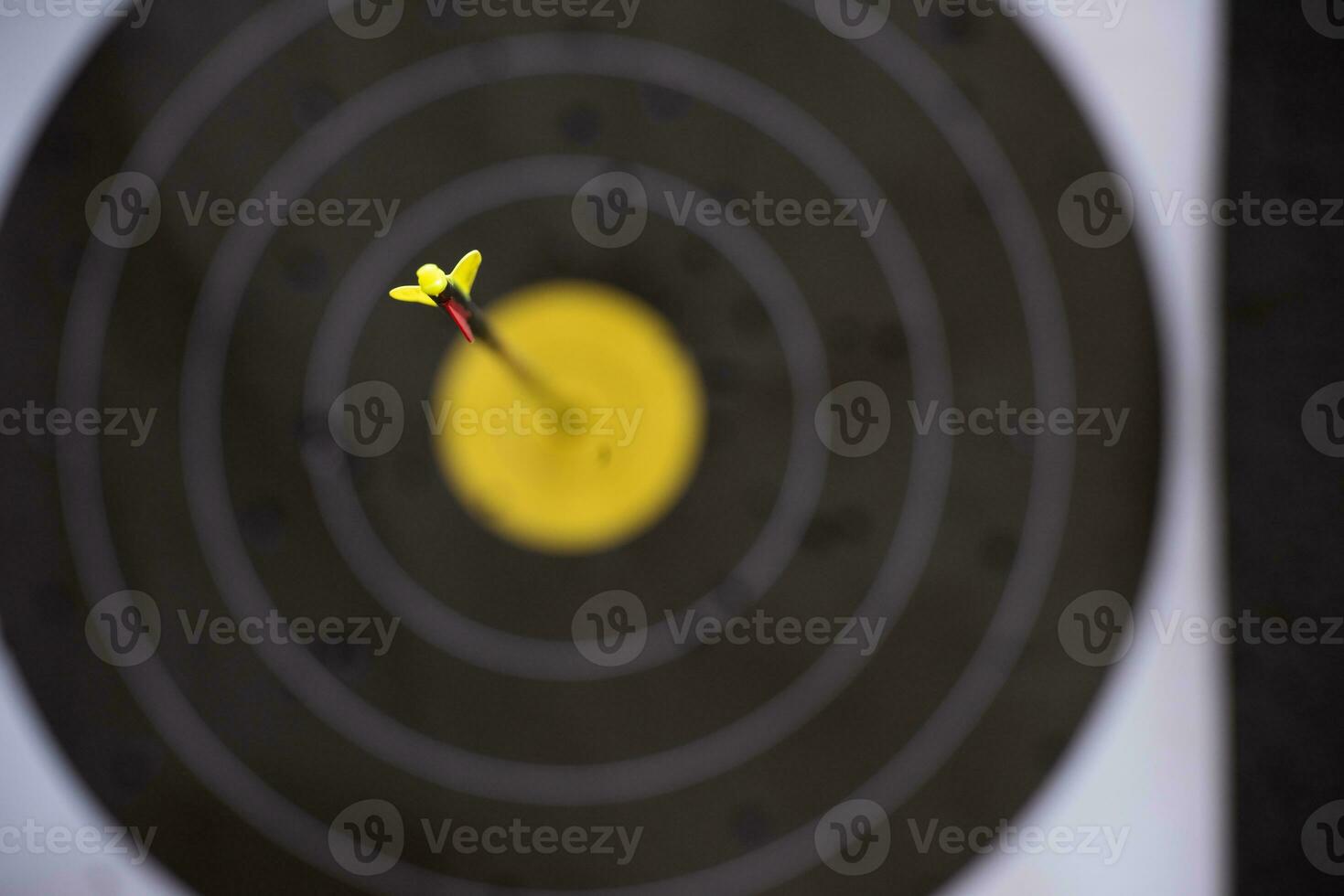 Arrow in the center of the target. The concept of success and achievement of the goal photo