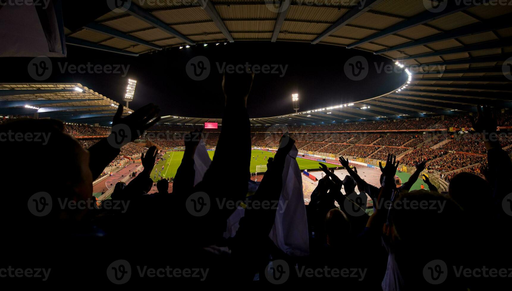 soccer fans support their favorite sports team photo