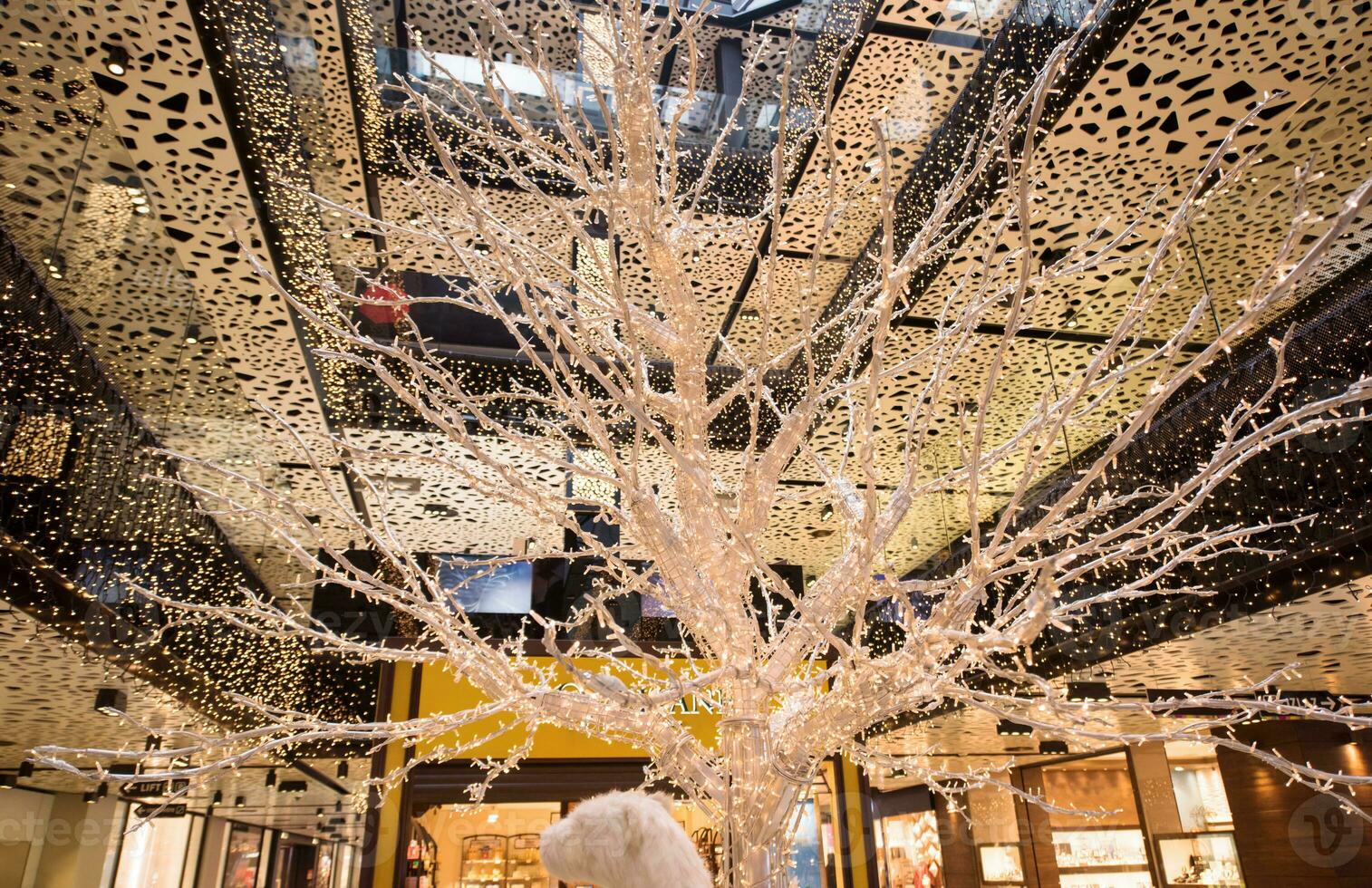 Glowing white tree photo