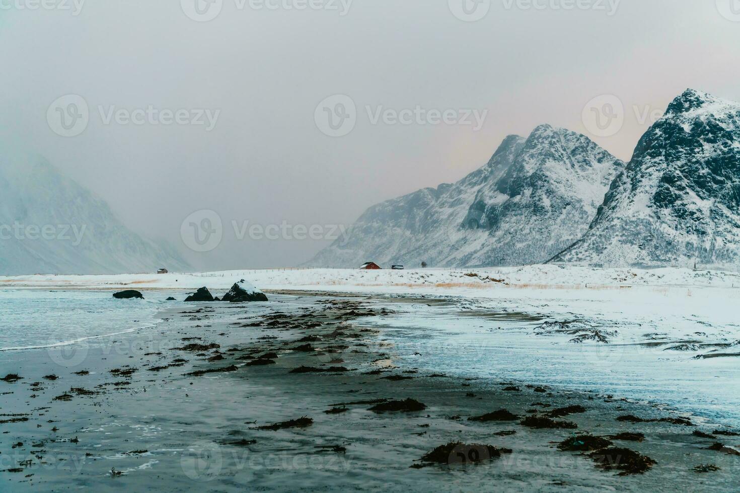 Norway coast in winter with snow bad cloudy weather photo