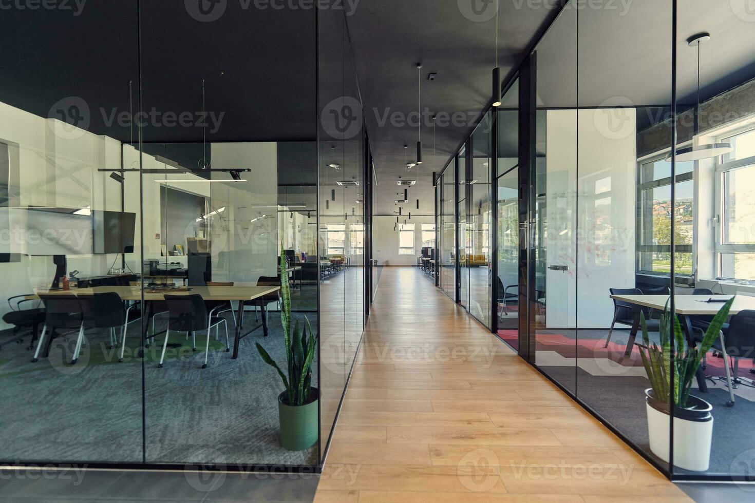 In a setting of modern, glass-walled business startup offices, the open, airy workspace reflects a contemporary and innovative ambiance, promising a dynamic environment for entrepreneurial growth photo