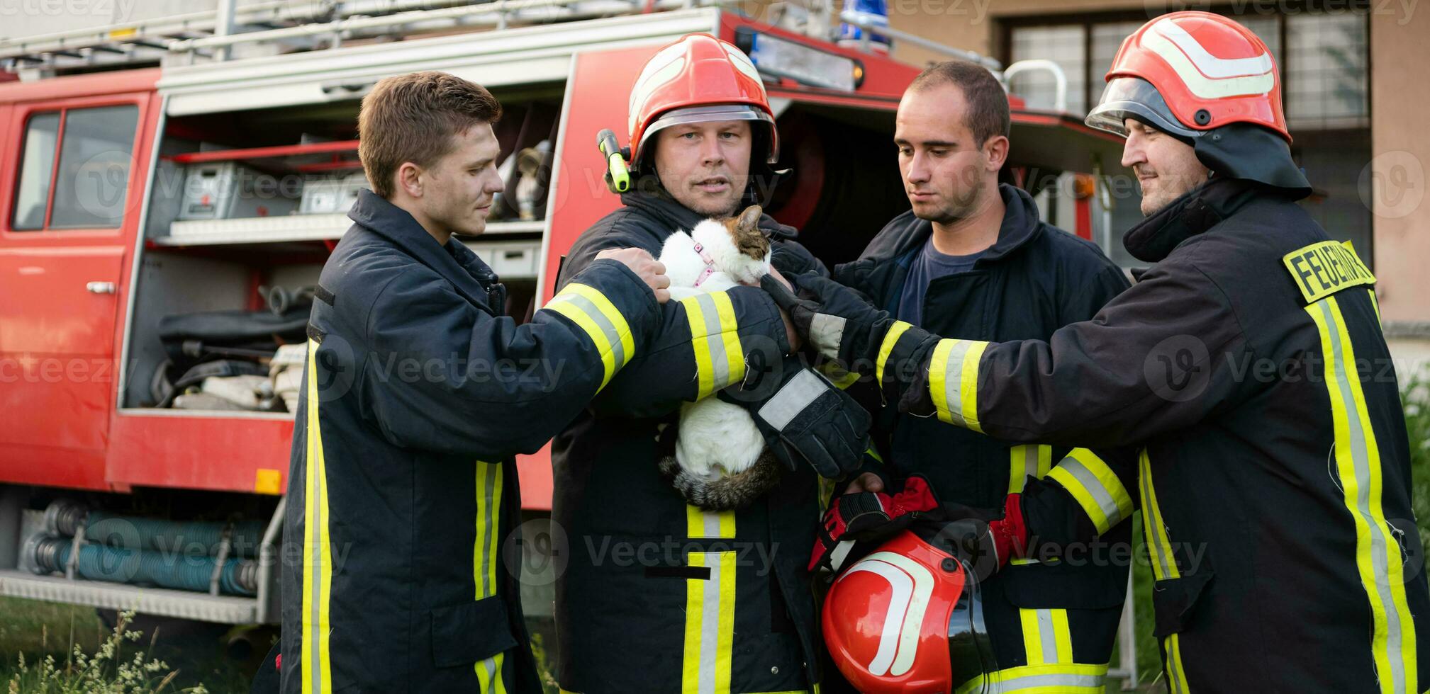 bomberos grupo en un protector traje y rojo casco sostiene salvado gato en su brazos. bombero en fuego luchando operación. foto