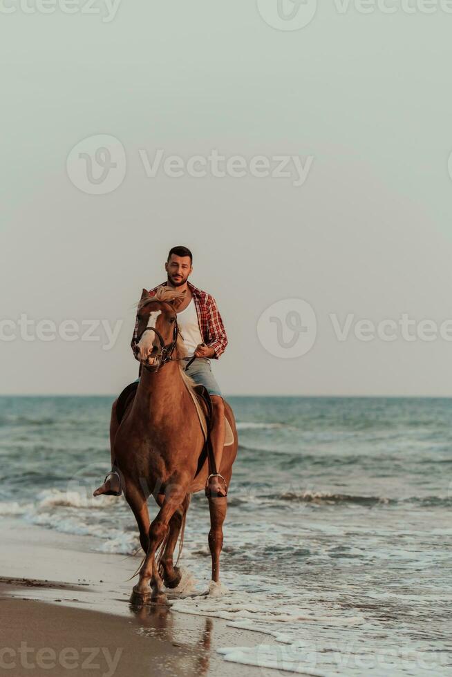 A modern man in summer clothes enjoys riding a horse on a beautiful sandy beach at sunset. Selective focus photo