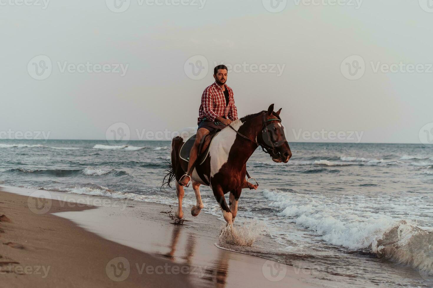 A modern man in summer clothes enjoys riding a horse on a beautiful sandy beach at sunset. Selective focus photo