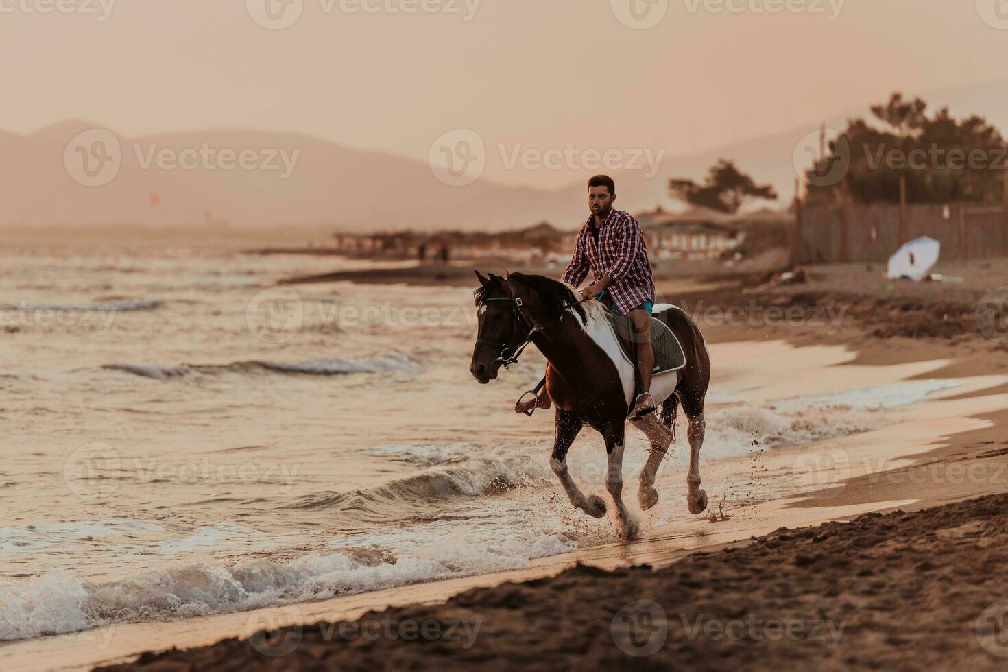 A modern man in summer clothes enjoys riding a horse on a beautiful sandy beach at sunset. Selective focus photo