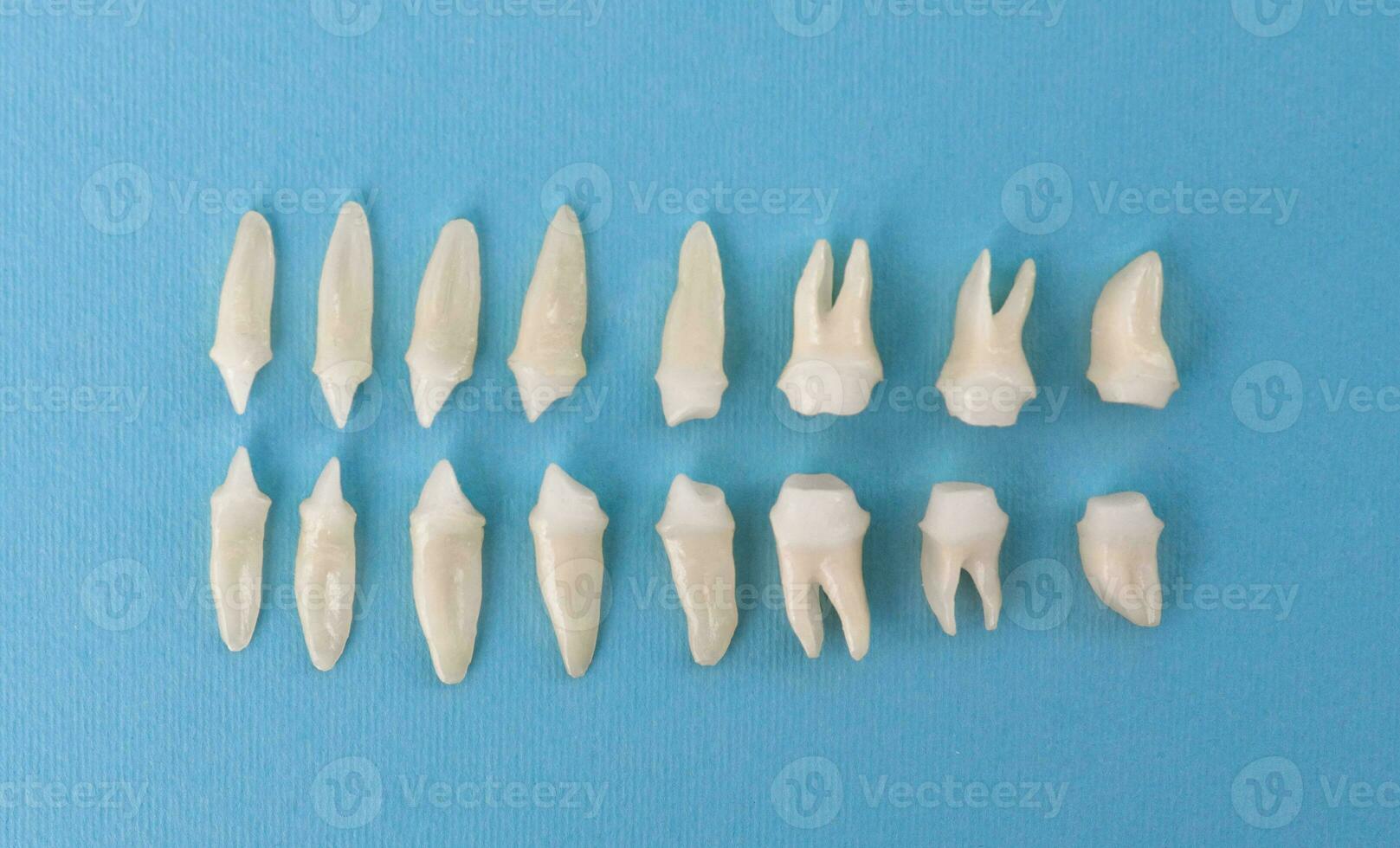 Prosthetic dentistry White teeth on black background Oral dental hygiene Dental health concept Oral care teeth restoration top view. photo