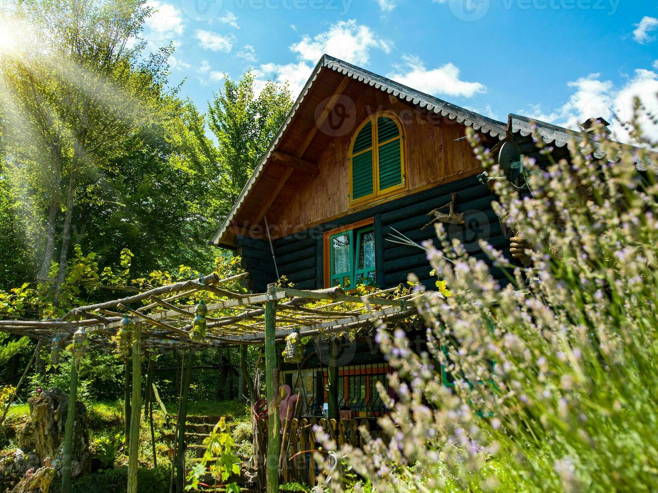 wooden cottage house traditional natural in the forest with garden photo