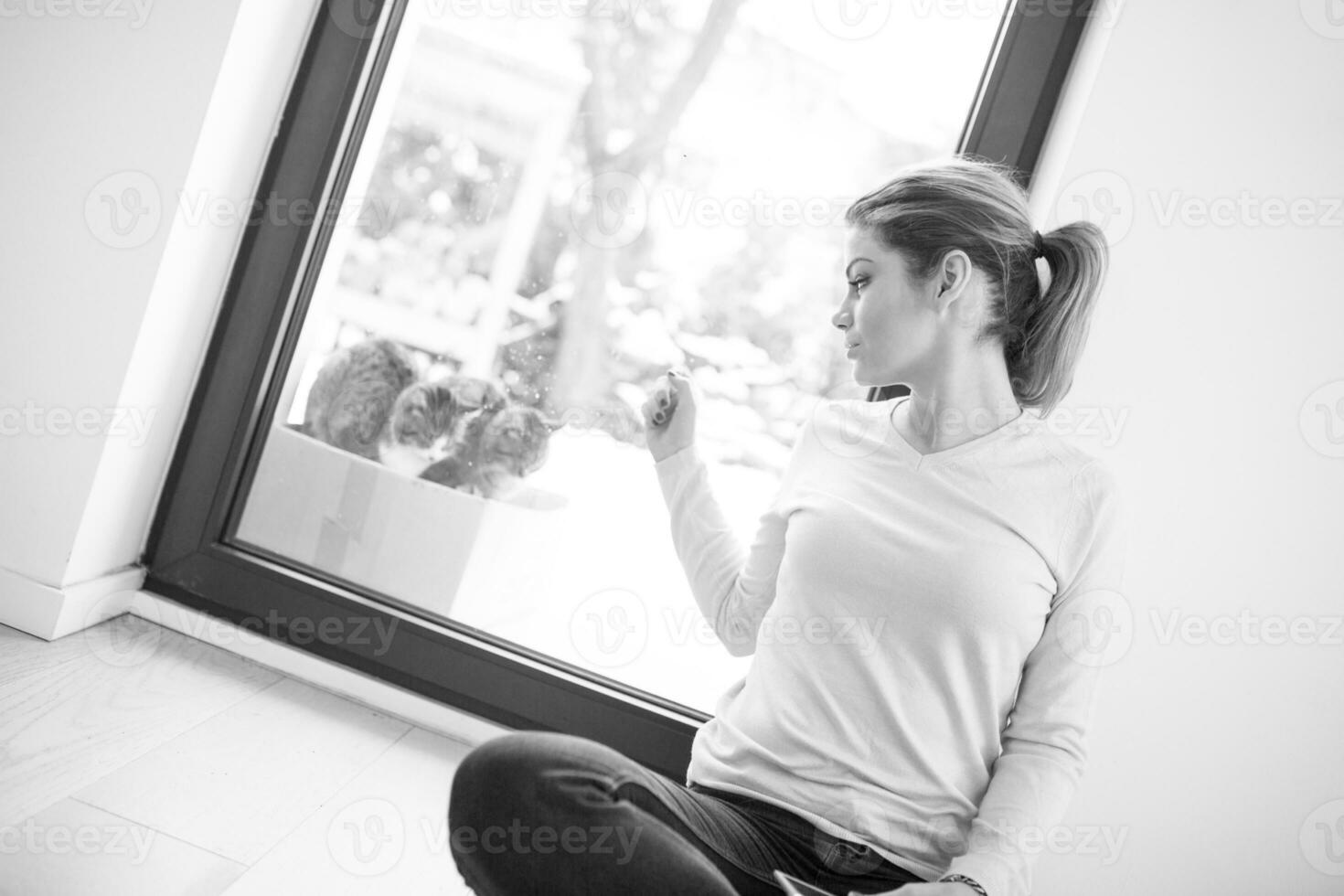 woman using tablet computer with cats on snow in background photo