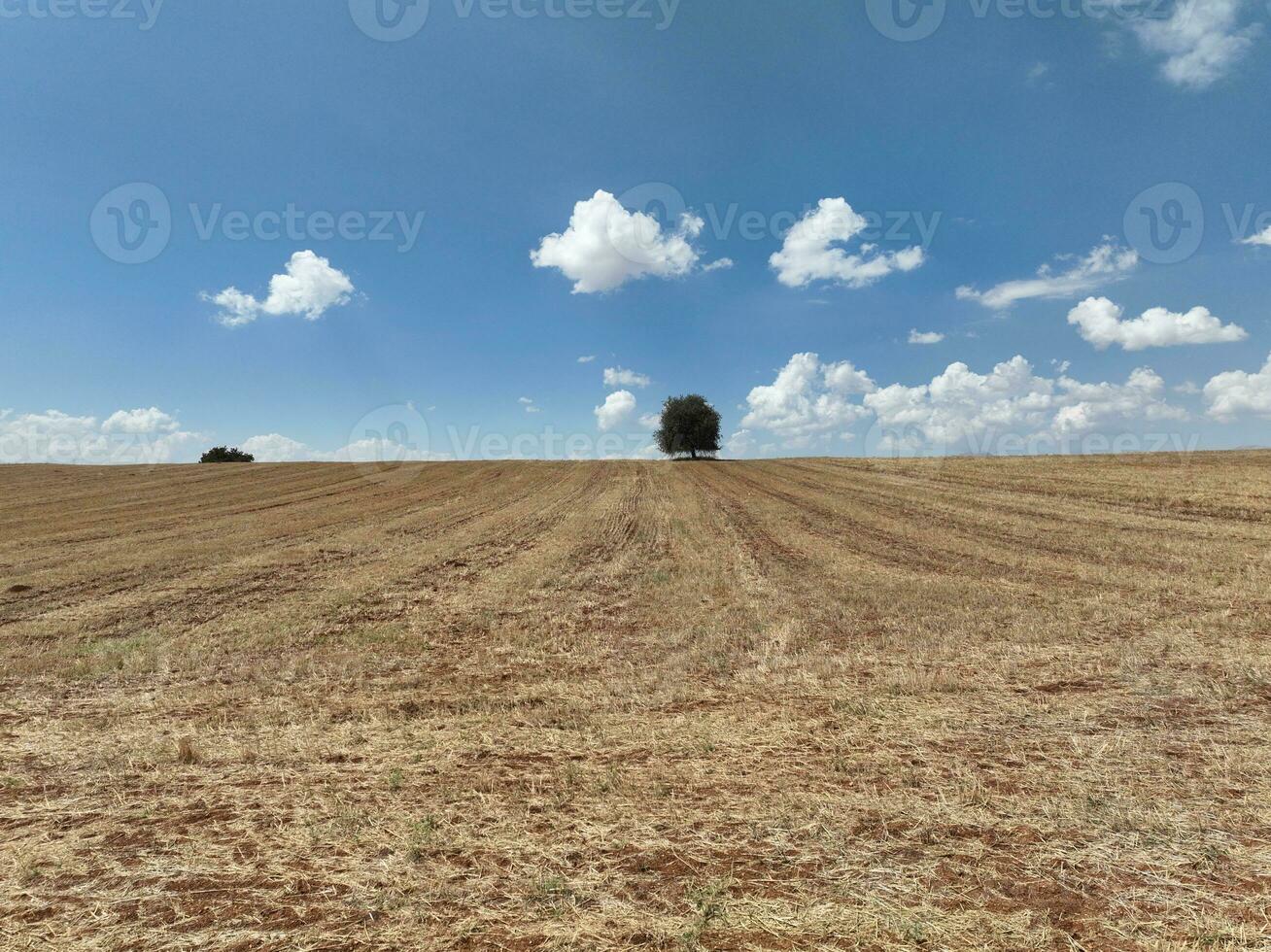 granja campos antecedentes textura 4 4 k aéreo ver 4k Turquía antalya foto