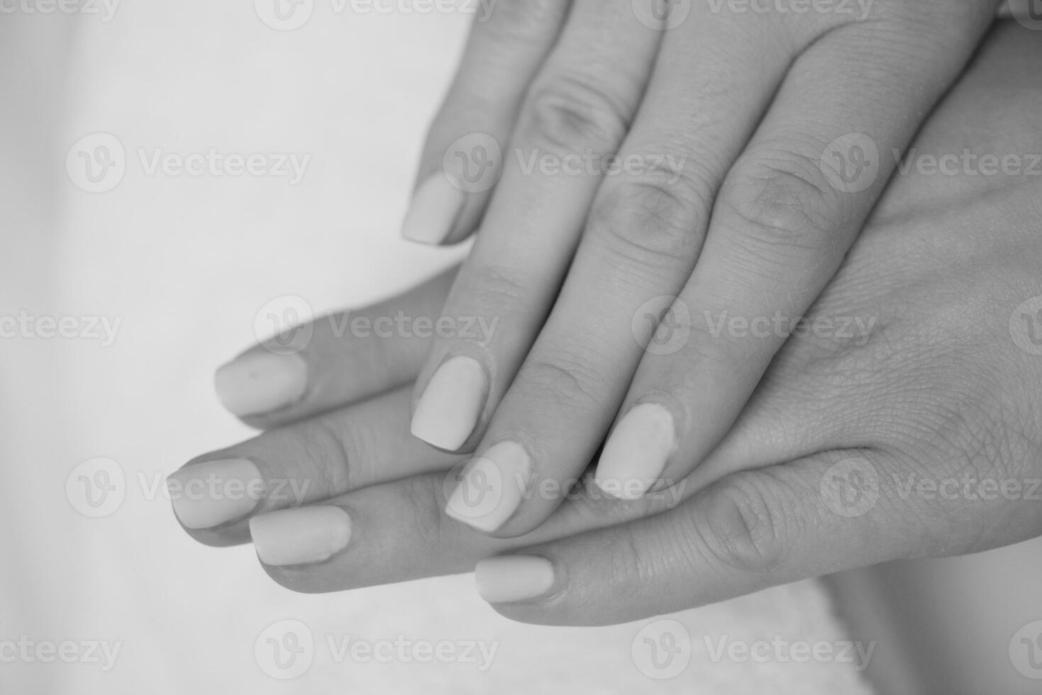 woman fingers with french manicure photo