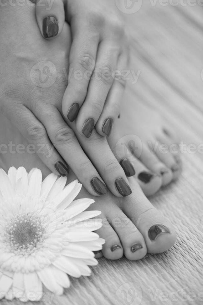 female feet and hands at spa salon photo