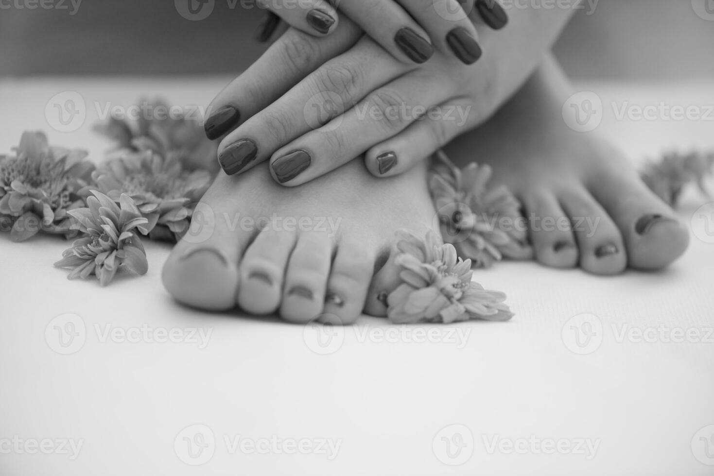 female feet and hands at spa salon photo