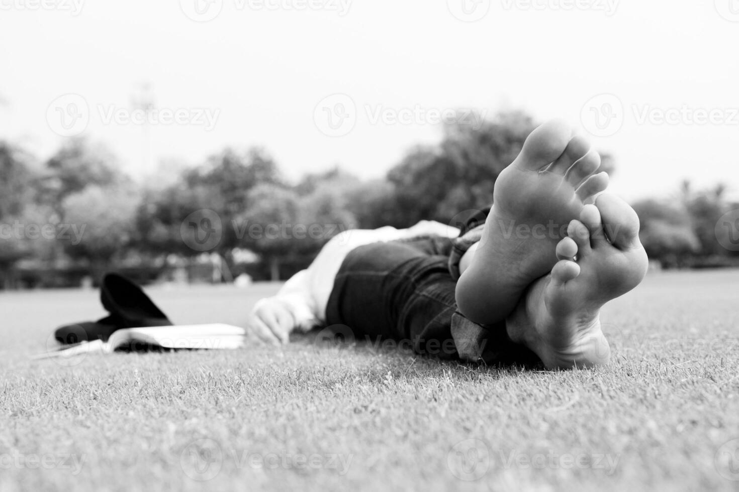 Young woman reading a book in the park photo