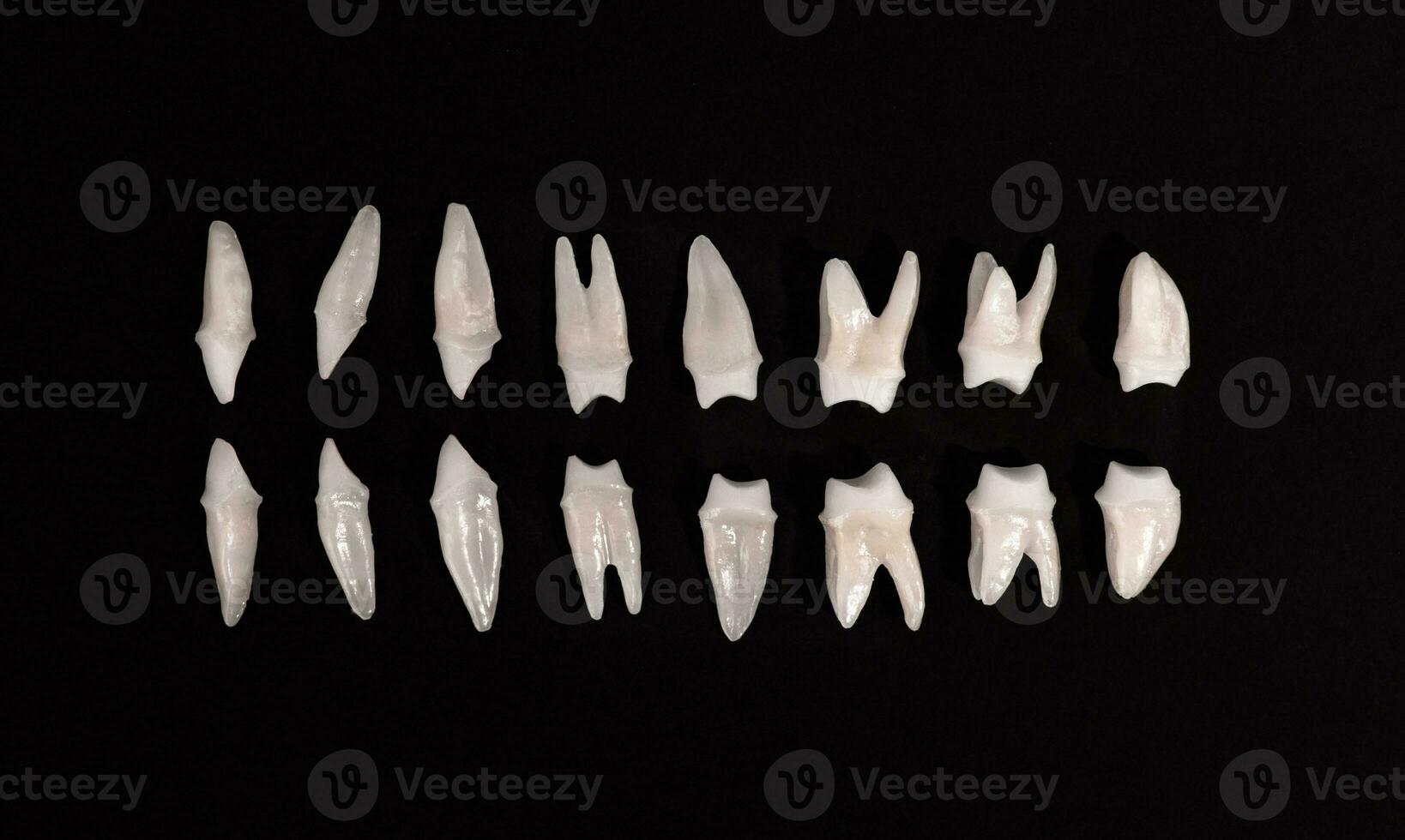 Prosthetic dentistry White teeth on black background Oral dental hygiene Dental health concept Oral care teeth restoration top view. photo