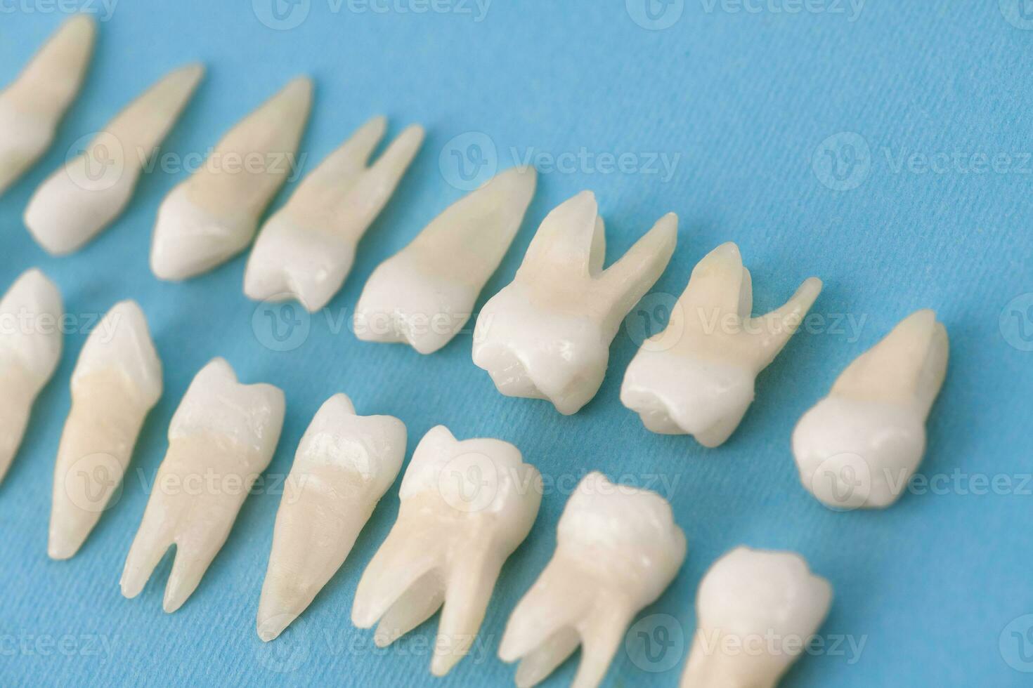 Prosthetic dentistry White teeth on black background Oral dental hygiene Dental health concept Oral care teeth restoration top view. photo