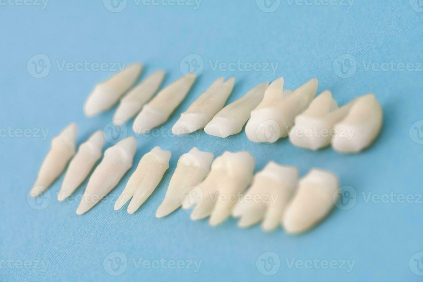 Prosthetic dentistry White teeth on black background Oral dental hygiene Dental health concept Oral care teeth restoration top view. photo