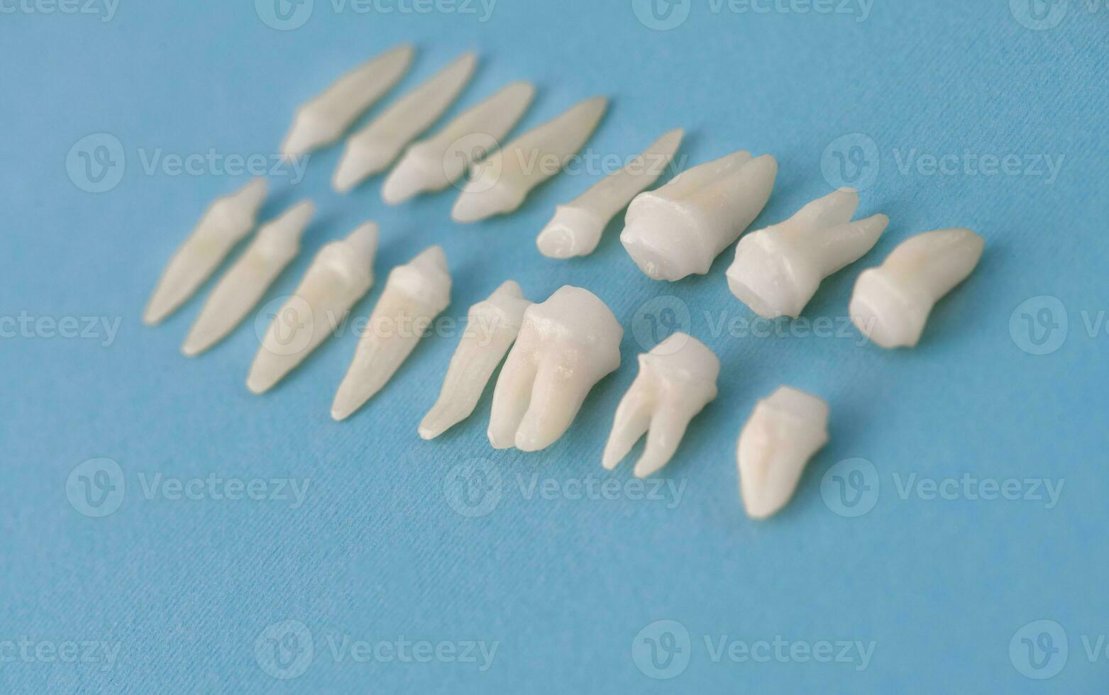 Prosthetic dentistry White teeth on black background Oral dental hygiene Dental health concept Oral care teeth restoration top view. photo
