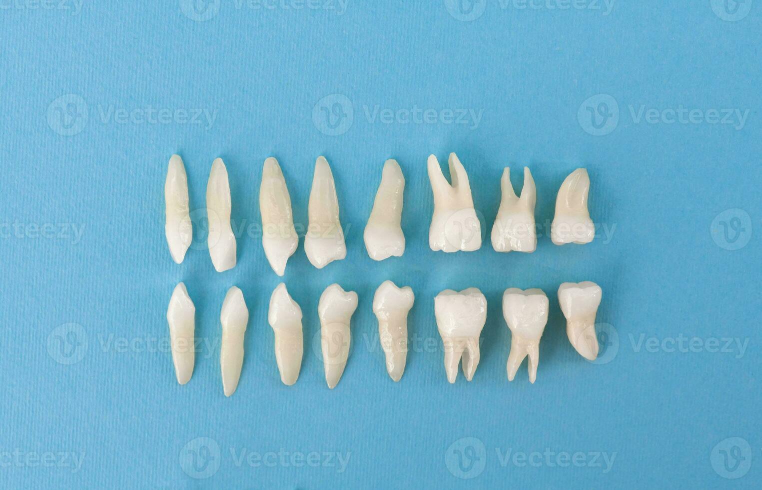 protésico odontología blanco dientes en negro antecedentes oral dental higiene dental salud concepto oral cuidado dientes restauracion parte superior vista. foto