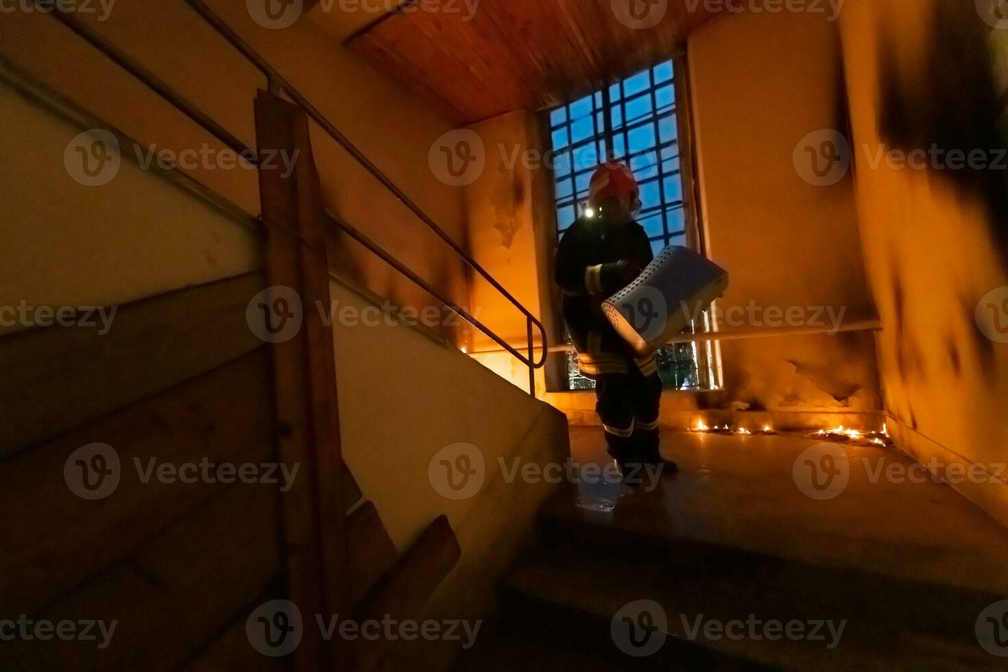 bombero héroe que lleva gato mascota animal en que lleva bolso caja fuera desde ardiente edificio zona desde el fuego incidente. rescate animal desde un peligroso lugar. trabajo en equipo concepto. foto