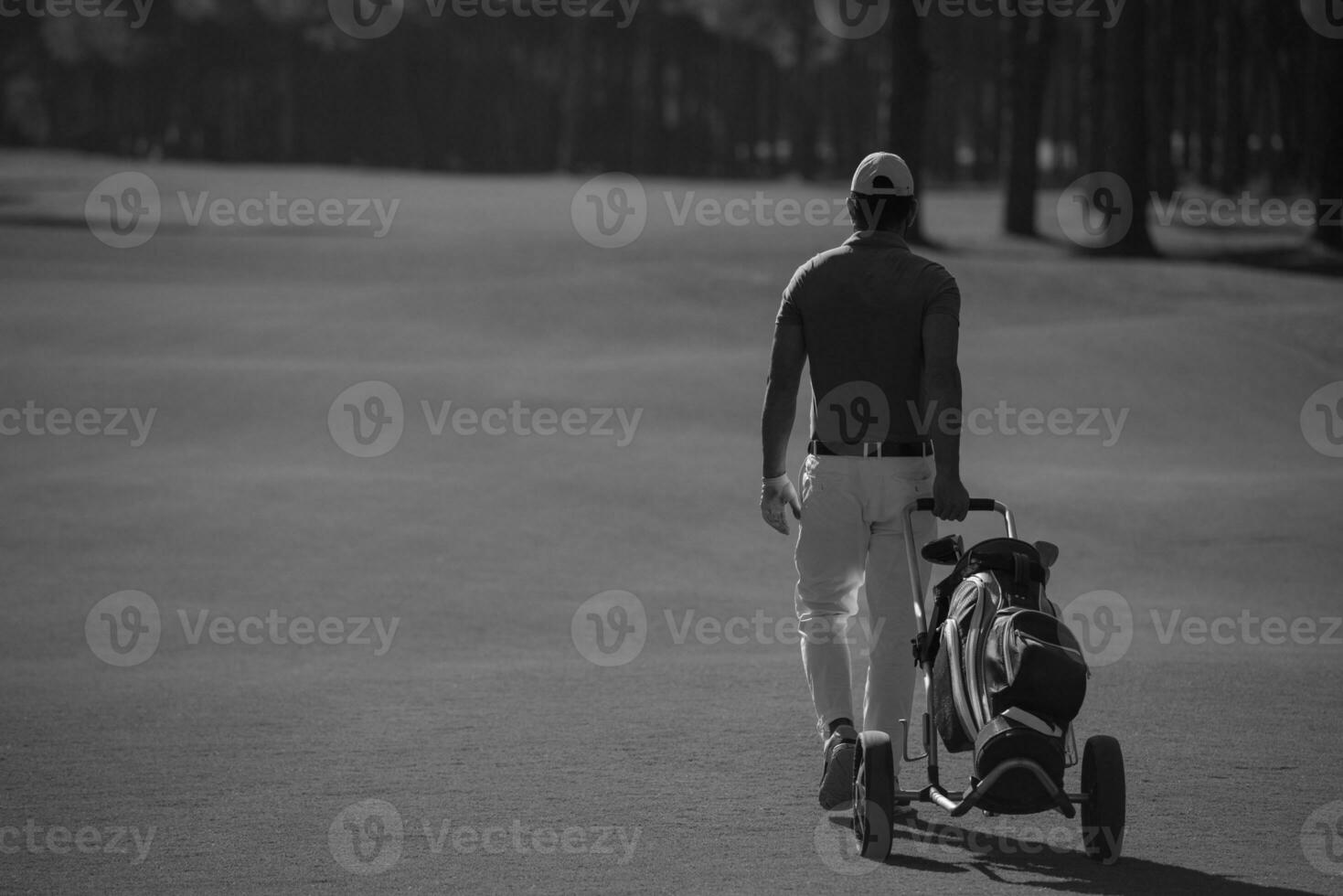 golf player walking with wheel bag photo