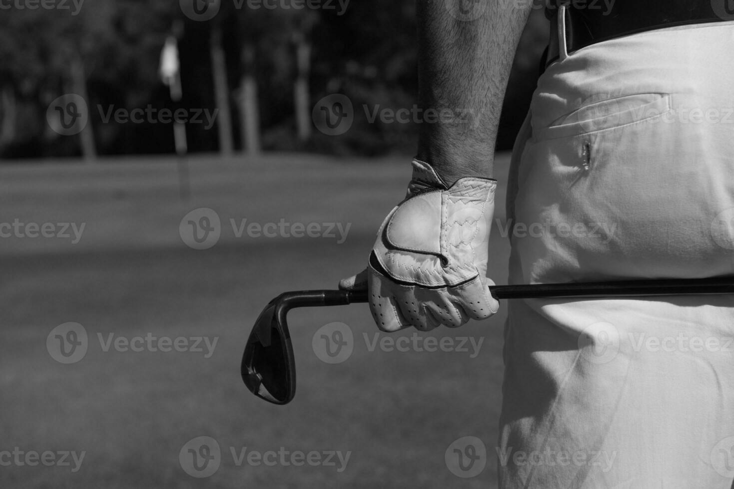 golf player close up hand and driver from back photo