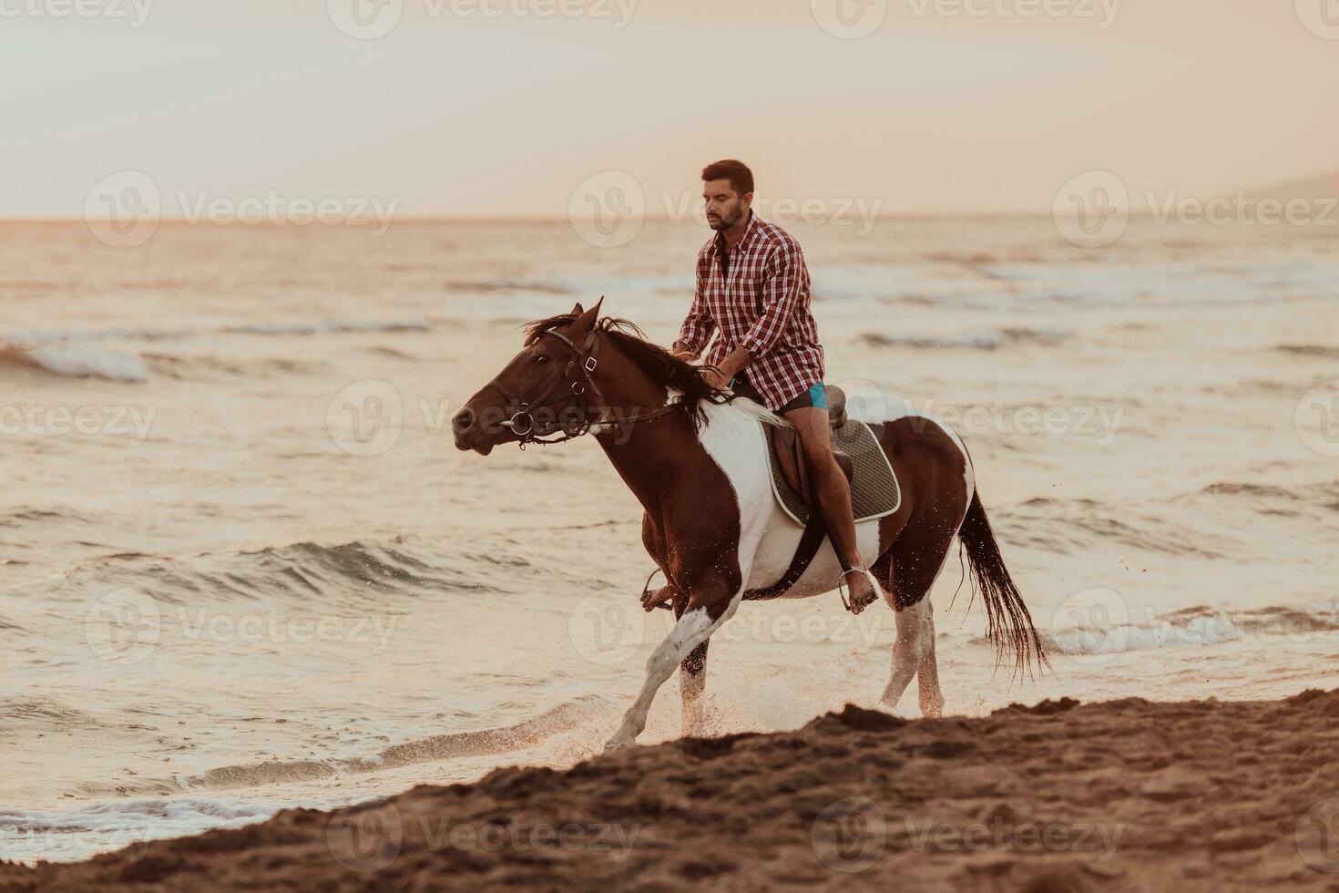 A modern man in summer clothes enjoys riding a horse on a beautiful sandy beach at sunset. Selective focus photo