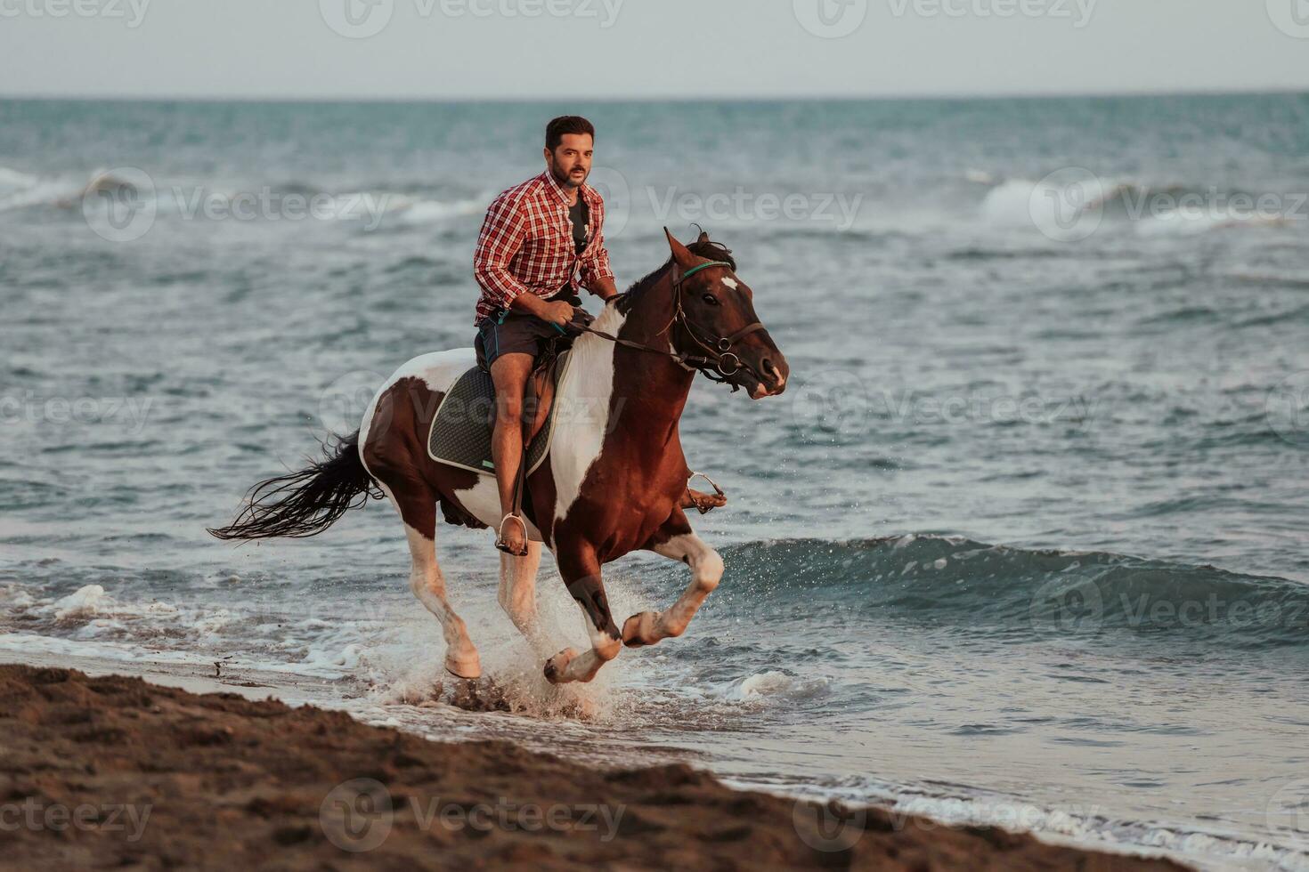 A modern man in summer clothes enjoys riding a horse on a beautiful sandy beach at sunset. Selective focus photo