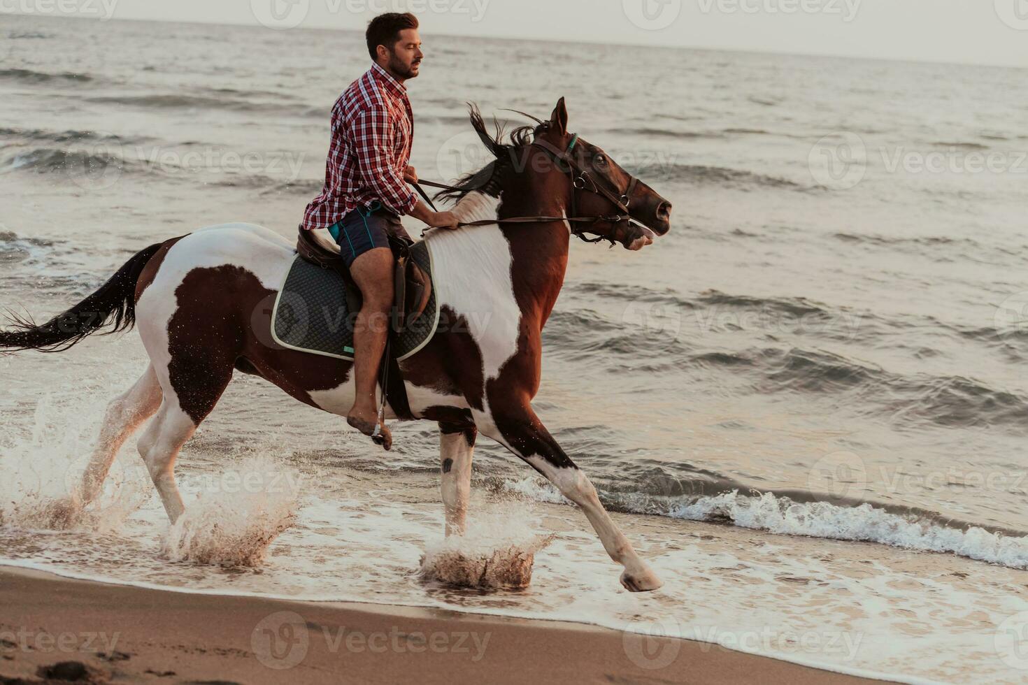 A modern man in summer clothes enjoys riding a horse on a beautiful sandy beach at sunset. Selective focus photo