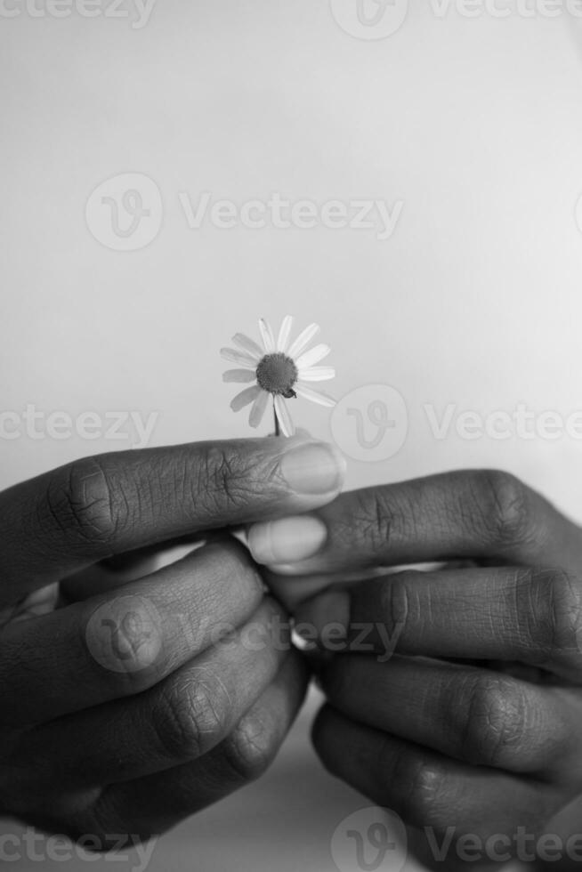 retrato de niña afroamericana con una flor en la mano foto