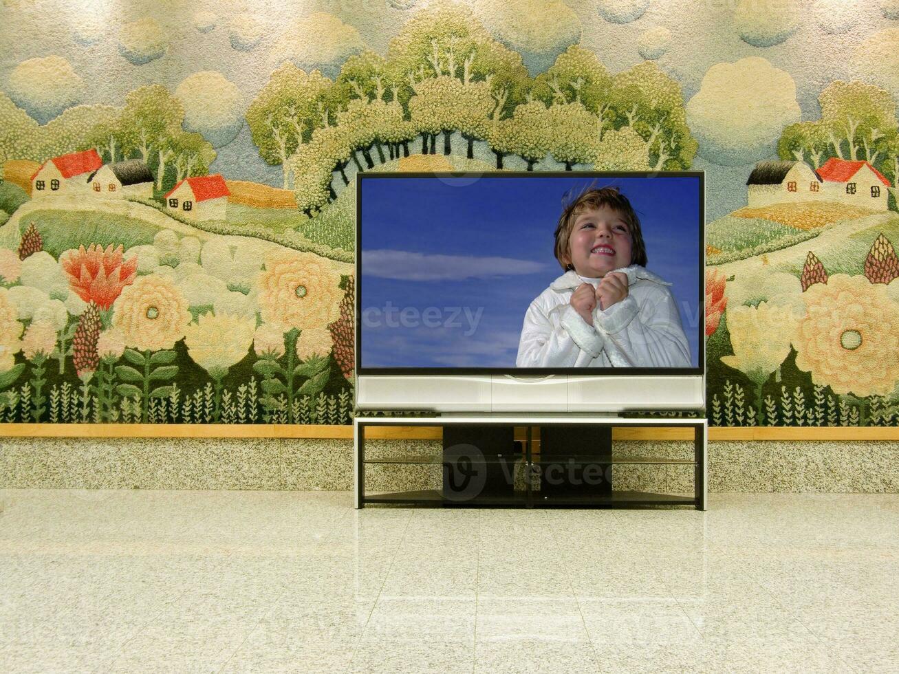 Plasma TV view photo