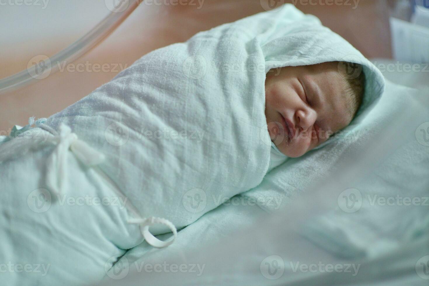 new born baby photo