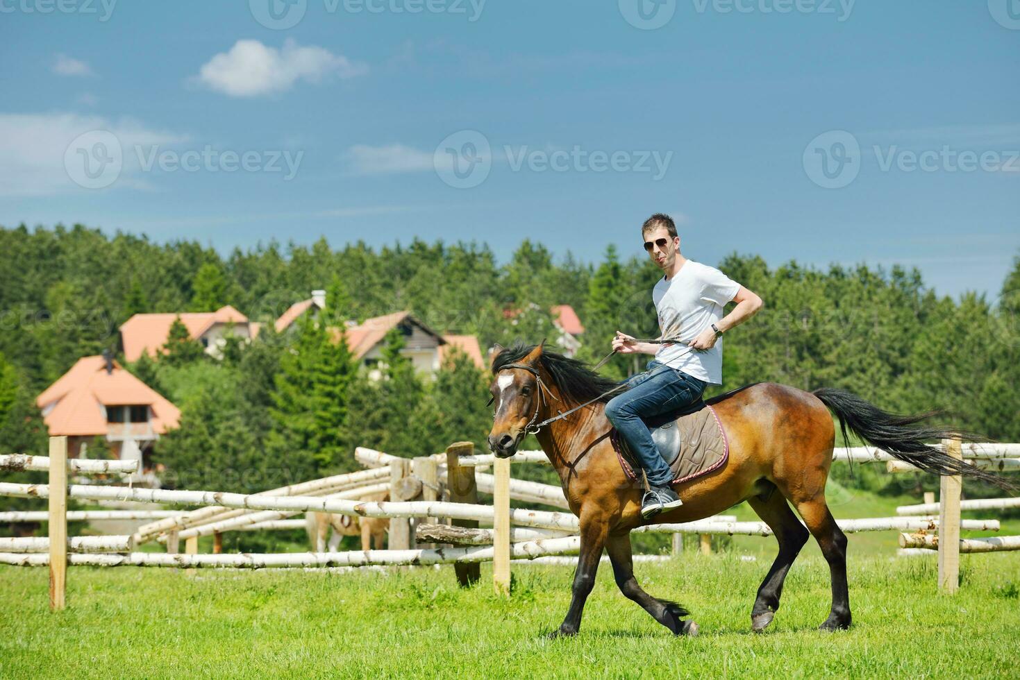 man ride horse photo