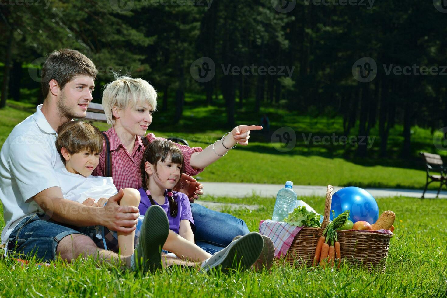 Happy family playing together in a picnic outdoors photo