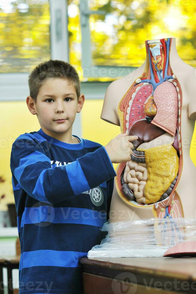 aprender biologia en la escuela foto