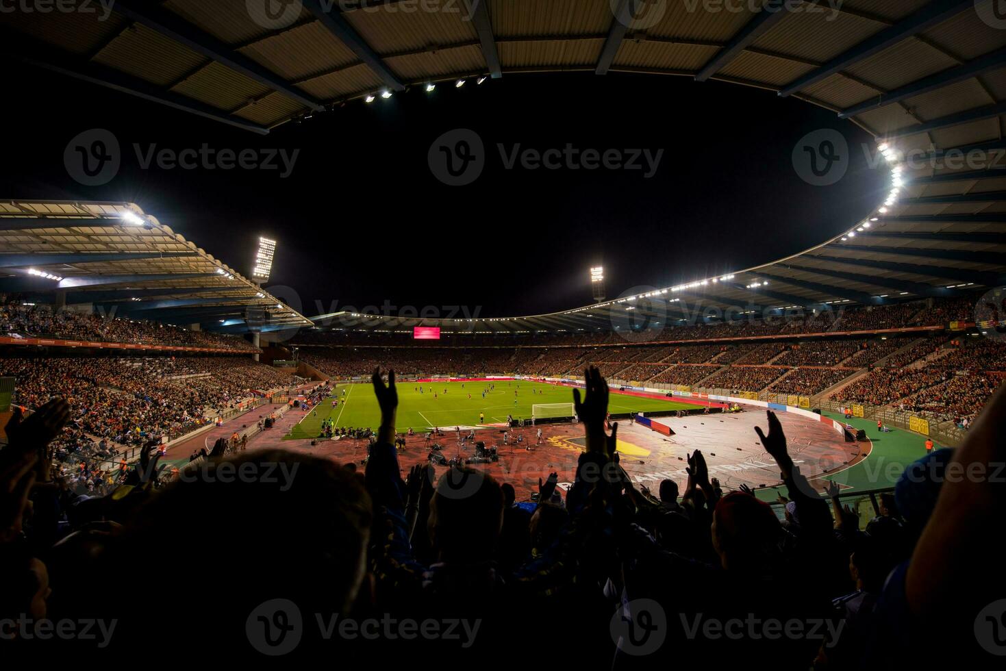 soccer fans support their favorite sports team photo