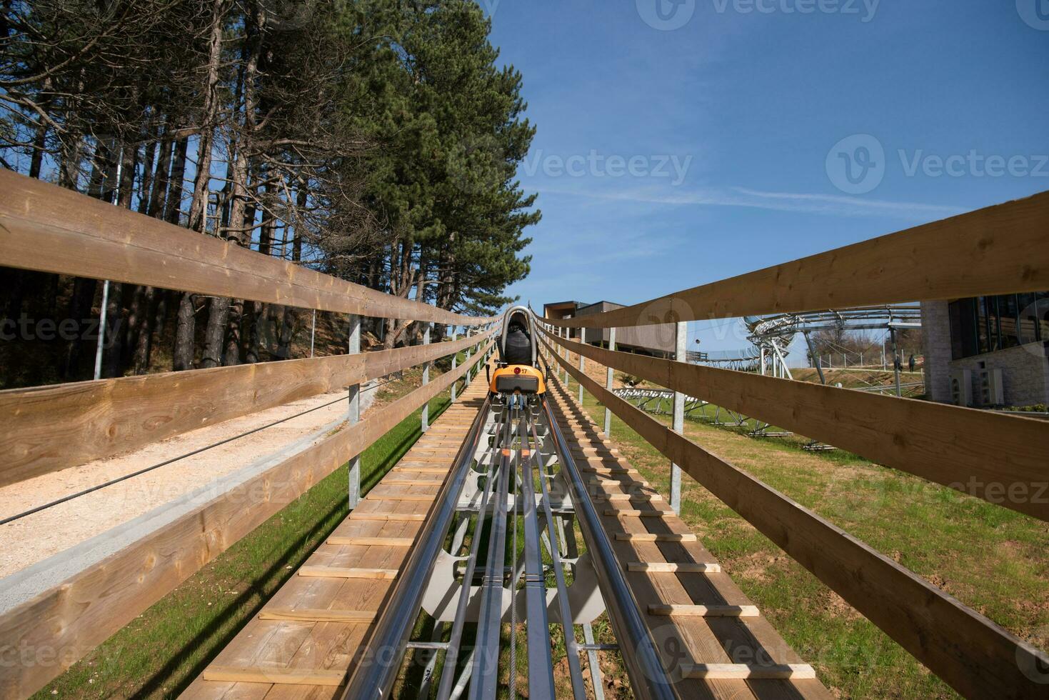 mother and son enjoys driving on alpine coaster photo