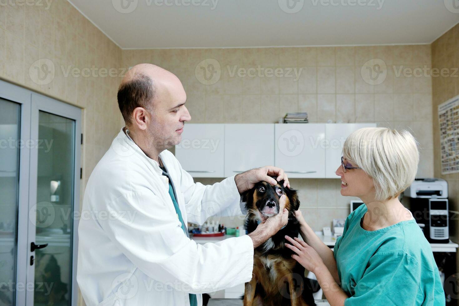 veterinarian and assistant in a small animal clinic photo