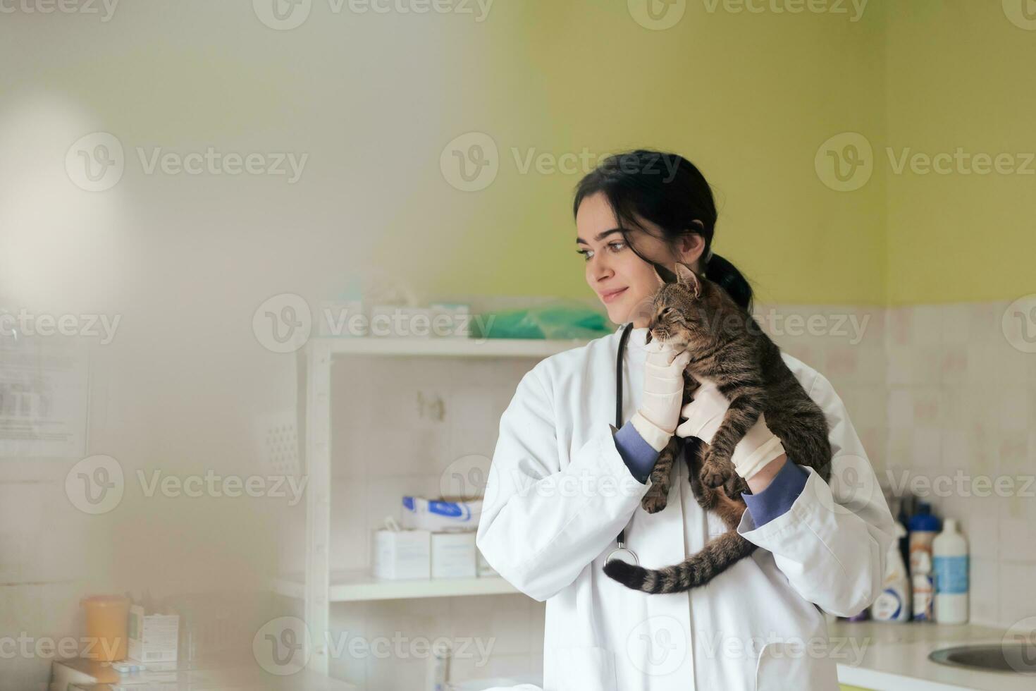 Veterinary clinic. Female doctor portrait at the animal hospital holding cute sick cat photo