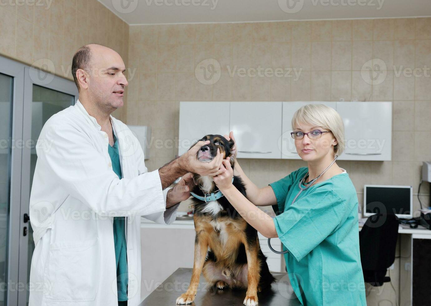 veterinarian and assistant in a small animal clinic photo