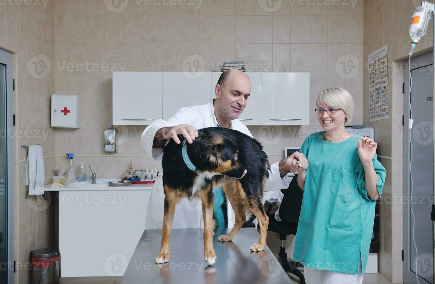 veterinarian and assistant in a small animal clinic photo