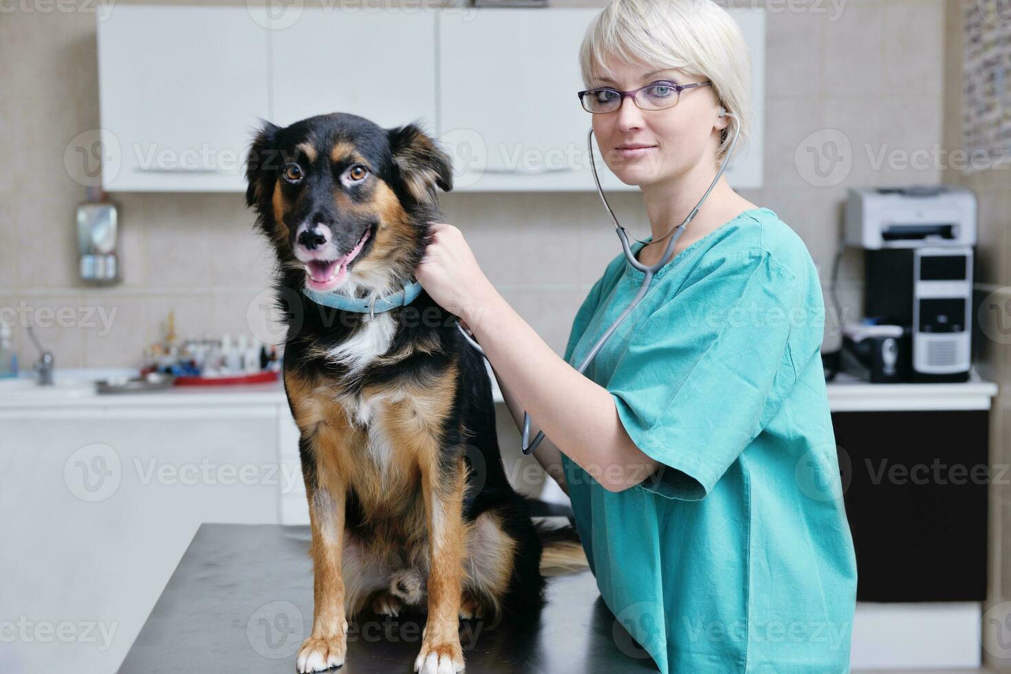 veterinarian and assistant in a small animal clinic photo