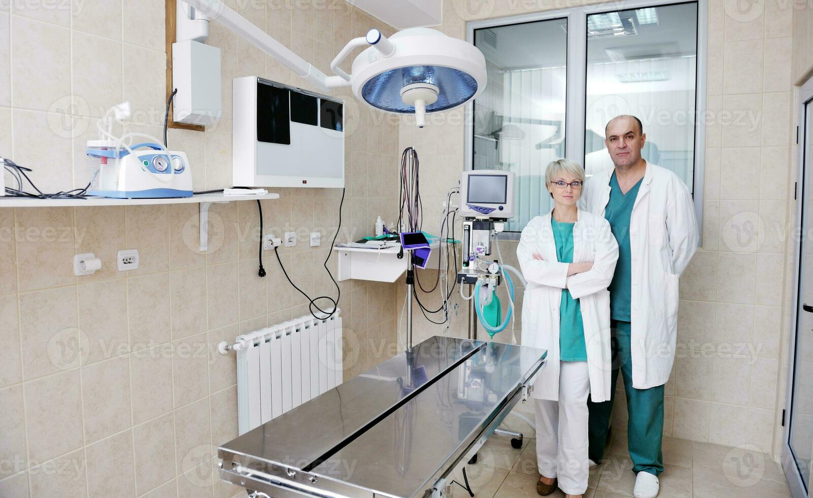 veterinarian and assistant in a small animal clinic photo