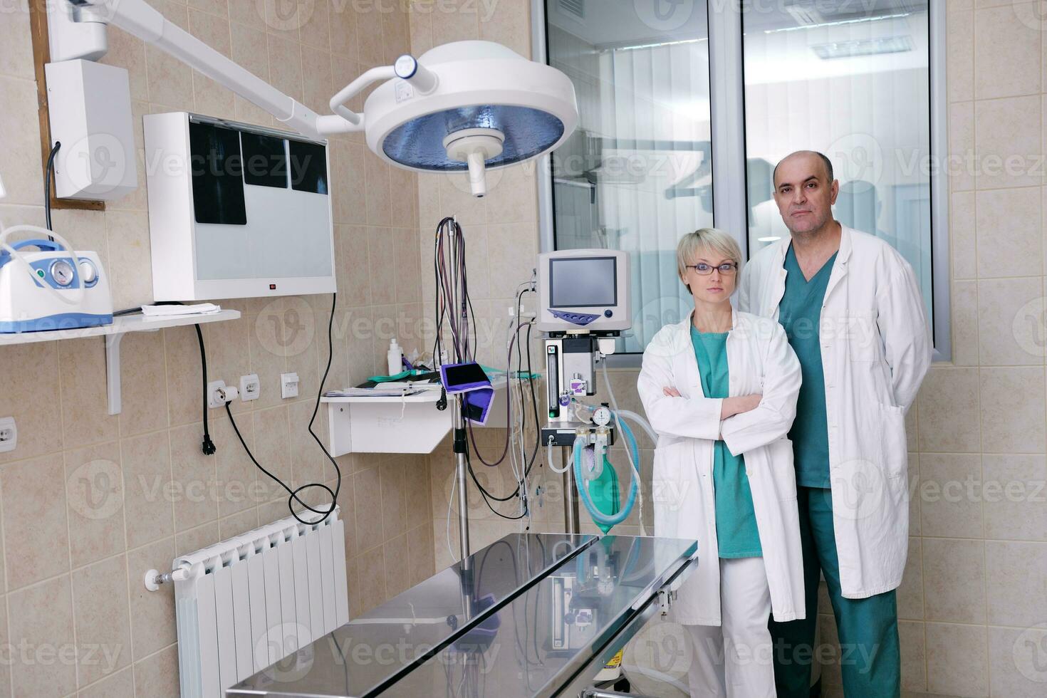 veterinarian and assistant in a small animal clinic photo